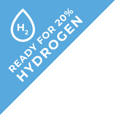 Ready For 20% Hydrogen